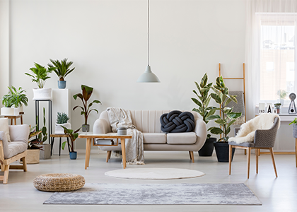 wohnzimmer-lebenszimmer